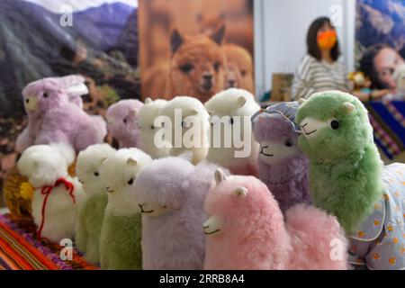 210907 -- PECHINO, 7 settembre 2021 -- foto scattata il 6 settembre 2021 mostra i peluche allo stand del Perù durante la China International Fair for Trade in Services CIFTIS 2021 a Beijng, capitale della Cina. CHINA-BEIJING-CIFTIS CN XuxQin PUBLICATIONxNOTxINxCHN Foto Stock