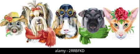 Bordo per animali domestici. Disegno ad acquerello dipinto a mano, isolare la clip art su sfondo bianco. Design banner Foto Stock