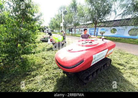 210919 -- PECHINO, 19 settembre 2021 -- Lin Guihai, studenti universitari della China Agricultural University, check autopilota spray in Future Orchard nel villaggio Xiying di Yukou Township nel distretto di Pinggu di Pechino, capitale della Cina, 25 agosto 2021. Future Orchard è un frutteto high-tech fondato dal governo locale con la China Agricultural University e altre imprese. Il frutteto ha un laboratorio e quattro ettari di terreno con peschi e kiwi. Con l'aiuto di un sistema di monitoraggio intelligente per l'analisi dei dati, la gestione accurata e la diagnosi visiva dell'ambiente degli alberi da frutto, il frutteto r Foto Stock