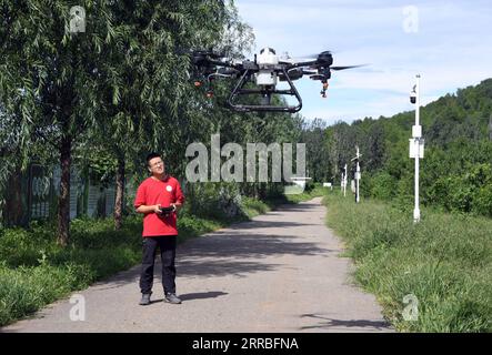 210919 -- PECHINO, 19 settembre 2021 -- Shao Qi, uno studente universitario della China Agricultural University, gestisce un drone per spruzzare fertilizzante in Future Orchard nel villaggio Xiying di Yukou Township nel distretto di Pinggu di Pechino, capitale della Cina, 25 agosto 2021. Future Orchard è un frutteto high-tech fondato dal governo locale con la China Agricultural University e altre imprese. Il frutteto ha un laboratorio e quattro ettari di terreno con peschi e kiwi. Con l'aiuto di un sistema di monitoraggio intelligente per l'analisi dei dati, la gestione accurata e la diagnosi visiva dell'ambiente degli alberi da frutto, il Foto Stock