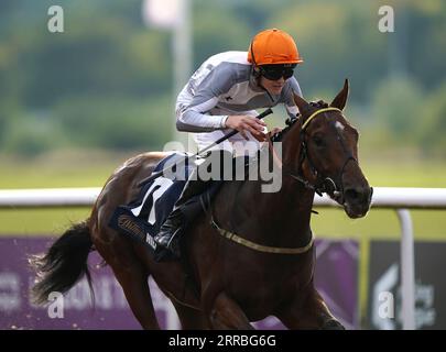 Beyond Borders guidato da Jonny Peate sulla strada per vincere il William Hill Enhanced Odds Every Day Racing all'ippodromo di Wolverhampton. Data foto: Giovedì 7 settembre 2023. Foto Stock