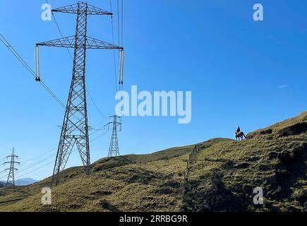 210921 -- AUCKLAND, 21 settembre 2021 -- Una donna cavalca un cavallo su un sentiero a zigzag delle montagne di Wellington, nuova Zelanda, il 19 settembre 2021. La città più grande della nuova Zelanda, Auckland, allenterà le restrizioni spostandosi al livello di allerta COVID-19 3 alle 23:59 di martedì per almeno due settimane, poiché il paese ha segnalato 22 nuovi casi nella comunità Delta lunedì. La città è rimasta al livello 4, il blocco COVID-19 di alto livello, per più di 30 giorni, più del blocco dello scorso anno, con scuole e imprese non essenziali chiuse. Il resto del paese rimarrà al livello di allerta 2, il che significa imprese A. Foto Stock