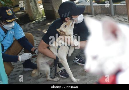 210927 -- GIACARTA, 27 settembre 2021 -- Un cane domestico riceve un vaccino antirabbico gratuito a Giacarta, Indonesia, 27 settembre 2021. La giornata mondiale della rabbia si celebra il 28 settembre per sensibilizzare sulla prevenzione della rabbia negli animali da compagnia. INDONESIA-GIACARTA-PET-RABBIA-VACCINAZIONE Zulkarnain PUBLICATIONxNOTxINxCHN Foto Stock