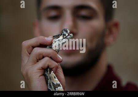 211005 -- RAMALLAH, 5 ottobre 2021 -- il palestinese Mohammed Nassri tiene un serpente nella sua casa, nel villaggio di Bir Nabala a sud della città di Ramallah, 29 settembre 2021. ANDARE CON: Caratteristica: Giovane palestinese fa vivere da serpenti giganti e pericolosi foto di /Xinhua MIDEAST-RAMALLAH-SNAKES AymanxNobani PUBLICATIONxNOTxINxCHN Foto Stock