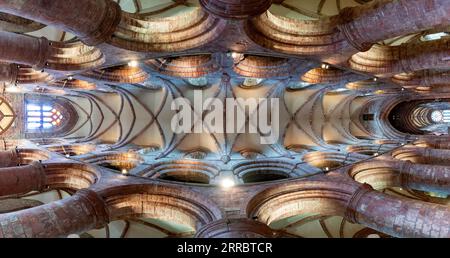 Vista interna del tetto della cattedrale di St Magnus a Kirkwall, continente, Isole Orcadi, Scozia, Regno Unito. Foto Stock