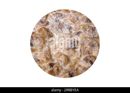 Delizioso piatto fresco composto da funghi stufati, pollo, formaggio con sale, spezie ed erbe aromatiche. Cibo sano cucinato a casa Foto Stock