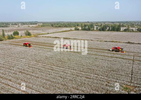 211015 -- YULI, 15 ottobre 2021 -- le raccoglitrici di cotone lavorano in un campo di cotone nella contea di Yuli, nella regione autonoma dello Xinjiang Uygur della Cina nord-occidentale, 12 ottobre 2021. PER ANDARE CON gli agricoltori di cotone dello Xinjiang confutare le voci del lavoro forzato CINA-XINJIANG-COTONE AGRICOLTORI-CONFERENZA STAMPA CN ZhaoxGe PUBLICATIONxNOTxINxCHN Foto Stock