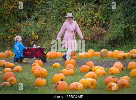 211017 -- RICHMOND CANADA, 17 ottobre 2021 -- si vedono persone durante un'attività di toppa di zucca in una fattoria a Richmond, British Columbia, Canada, il 17 ottobre 2021. Le persone hanno partecipato all'attività per celebrare l'arrivo della stagione del raccolto e celebrare il prossimo Halloween. Foto di /Xinhua CANADA-RICHMOND-PUMPKIN PATCH LiangxSen PUBLICATIONxNOTxINxCHN Foto Stock