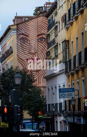 Arte muraria in Calle Atocha, strade di Barrio Las Letras, Madrid, Spagna Foto Stock