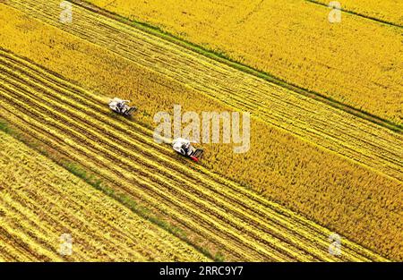 211028 -- ZHENJIANG, 28 ottobre 2021 -- foto aerea scattata il 28 ottobre 2021 mostra gli agricoltori che gestiscono mietitori su una risaia nella città di Jurong, nella provincia di Jiangsu. Foto di /Xinhua CHINA-JIANGSU-ZHENJIANG-HARVEST RICECN ZhongxXueman PUBLICATIONxNOTxINxCHN Foto Stock