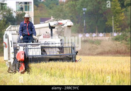 211028 -- ZHENJIANG, 28 ottobre 2021 -- foto scattata il 28 ottobre 2021 mostra un agricoltore che opera una mietitrice su un campo di riso nella città di Jurong, provincia di Jiangsu. Foto di /Xinhua CHINA-JIANGSU-ZHENJIANG-HARVEST RICECN ZhongxXueman PUBLICATIONxNOTxINxCHN Foto Stock