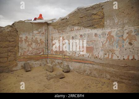 211030 -- SAQQARA EGITTO, 30 ottobre 2021 -- foto non datata mostra disegni sulle pareti di un'antica tomba nella necropoli di Saqqara, a sud del Cairo, in Egitto. Una missione archeologica dell'Università del Cairo ha svelato l'interno di una tomba nella necropoli di Saqqara vicino alle tre piramidi di Giza, a sud della capitale il Cairo, come detto in una dichiarazione di sabato. /Handout via Xinhua EGYPT-SAQQARA-ARCHEOLOGY-ANCIENT TOMB Egyptian anxMinistryxofxTourismxandxAntiquities PUBLICATIONxNOTxINxCHN Foto Stock