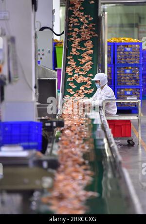 211101 -- LIUZHOU, 1 novembre 2021 -- i lavoratori confezionano spaghetti di riso Luosifen in un'azienda di trasformazione alimentare a Liuzhou, nella regione autonoma del Guangxi Zhuang, Cina meridionale, 1 novembre 2021. Le aziende Luosifen di Liuzhou stanno lavorando a pieno regime per preparare scorte sufficienti per il prossimo festival di shopping online Double Eleven. Liuzhou Luosifen, un piatto di zuppa soprannominato da alcuni come durian di zuppa per il suo forte odore, presenta vermicelli di riso imbevuti in un brodo piccante aromatizzato da lumache di fiume e conditi con ingredienti come germogli di bambù sottaceto, fagioli, arachidi e pelle di tofu. CHINA-GUANGXI-LUOSIFEN Foto Stock