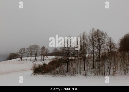 Paesaggio invernale, con alberi e colline ricoperte di neve, sotto un cielo lungoso e nuvoloso Foto Stock