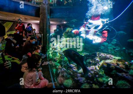 211115 -- VANCOUVER, 15 novembre 2021 -- Un subacqueo vestito come Babbo Natale onda ai visitatori all'interno di una vasca di pesci durante l'evento Scuba Claus all'acquario di Vancouver, British Columbia, Canada, il 15 novembre 2021. Foto di /Xinhua CANADA-VANCOUVER-VANCOUVER AQUARIUM-SCUBA CLAUS LiangxSen PUBLICATIONxNOTxINxCHN Foto Stock