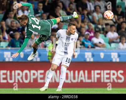 Isaac Price dell'Irlanda del Nord (a sinistra) e Timi Elsnik della Slovenia si scontrano per il pallone durante la partita del gruppo H di qualificazione UEFA Euro 2024 allo Stozice Stadium di Lubiana. Data foto: Giovedì 7 settembre 2023. Foto Stock