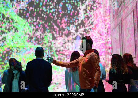 211125 -- ISTANBUL, 25 novembre 2021 -- le persone visitano una mostra di arte digitale in un cinema di Istanbul, Turchia, il 24 novembre 2021. Una mostra d'arte digitale, creata utilizzando l'intelligenza artificiale ai, affascina gli amanti dell'arte in un antico cinema ristrutturato di recente a Istanbul. GO WITH Feature: La mostra digitale AI del cinema turco affascina gli amanti dell'arte a Istanbul TURCHIA-ISTANBUL-ai MOSTRA DIGITALE Sadat PUBLICATIONxNOTxINxCHN Foto Stock