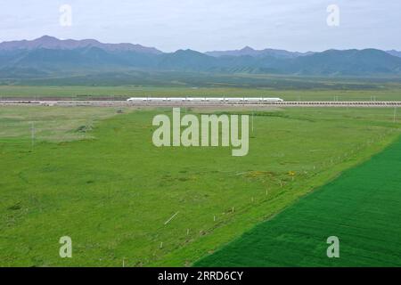 211205 -- ZHANGYE, 5 dicembre 2021 -- foto aerea scattata il 15 luglio 2021 mostra un treno proiettile che attraversa lo Shandan Horse Ranch nella contea di Shandan, città di Zhangye, provincia del Gansu della Cina nord-occidentale. La stazione ferroviaria Shandan Horse Ranch, ad un'altitudine di oltre 3.000 metri, ha iniziato a funzionare domenica. I treni proiettile, che possono portare passeggeri a Lanzhou, Xi An, Urumqi, Jiayuguan e Dunhuang, entreranno in stazione ogni giorno. La ferrovia Lanzhou-Xinjiang collega la provincia di Gansu della Cina nord-occidentale e la regione autonoma di Uygur dello Xinjiang. Situato sulle montagne Qilian, si trova lo Shandan Horse Ranch Foto Stock