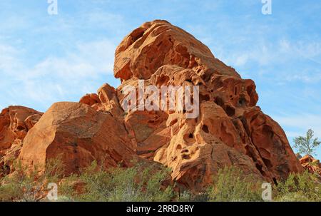 Arenaria azteca erosa - Valley of Fire State Park, Nevada Foto Stock