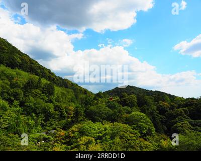 Kyoto, Giappone - Templi, Santuari, mercati e Giardini nella vecchia capitale imperiale e cuore culturale del Giappone Foto Stock