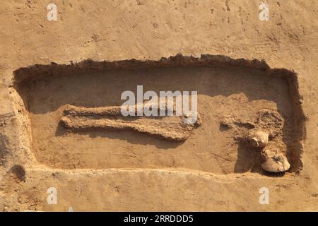 211218 -- ZHENGZHOU, 18 dicembre 2021 -- la foto del file mostra un'antica tomba trovata nel sito culturale Peiligang a Xinzheng, nella provincia di Henan, nella Cina centrale. Gli archeologi hanno detto venerdì di aver trovato le prime prove di persone cinesi che usavano monasco per produrre alcol in vasi di argilla di 8.000 anni rinvenuti nella Cina centrale. Peiligang è una delle prime rovine di un villaggio in Cina, risalente a circa 8.000 anni fa. Fornisce importanti prove per gli studi sull'origine e lo sviluppo dell'agricoltura, la fabbricazione della ceramica, l'industria tessile e le tecniche di produzione dell'alcol nei tempi antichi. CHIN Foto Stock