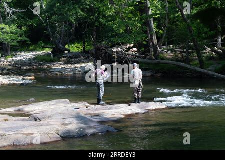 Due persone, forse un padre e un figlio, che pescano in un letto di fiume nelle grandi montagne fumose. Foto Stock