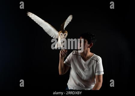 Foto in studio di un bellissimo gufo con le ali allungate e tenute da una donna. Animale selvatico. Isolato su sfondo nero. Foto Stock