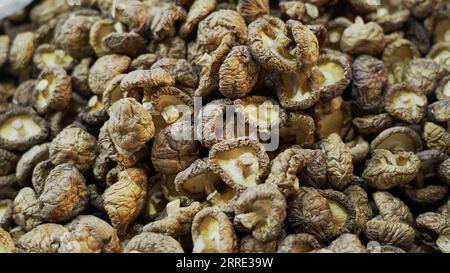 funghi shiitake essiccati che vendono nel mercato tradizionale Foto Stock