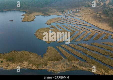 220202 -- LIMBURGO, 2 febbraio 2022 -- foto aerea scattata il 28 gennaio 2022 mostra le zone umide del Kalmthoutse Heide Cross-Border Park nella provincia di Anversa, Belgio. Il World Wetlands Day, celebrato ogni anno il 2 febbraio, mira a sensibilizzare il mondo sul ruolo vitale delle zone umide. BELGIO - PAESAGGIO DI UN GIORNO DELLE ZONE UMIDE ZhangxCheng PUBLICATIONxNOTxINxCHN Foto Stock