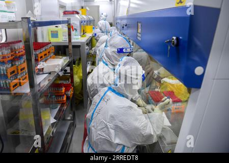 220222 -- PECHINO, 22 febbraio 2022 -- i medici gestiscono campioni di analisi degli acidi nucleici COVID-19 in un laboratorio nella contea di Debao di Baise, nella regione autonoma del Guangxi Zhuang nel sud della Cina, 13 febbraio 2022. Xinhua titoli: Perché la Cina sottolinea l'adesione all'approccio dinamico zero-COVID CaoxYiming PUBLICATIONxNOTxINxCHN Foto Stock