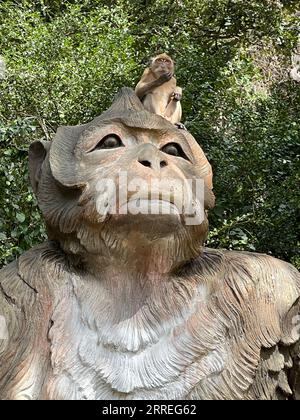 Amphoe Phanom, Thailandia. 4 febbraio 2023. Un macaco dalla coda lunga si trova su una statua di scimmia nel "Tempio delle scimmie" - Wat Sok Tham Phanthurat - nella provincia di Surat Thani in Thailandia. Chiunque viaggi a Singapore o in Thailandia li incontra ad ogni angolo: Macachi dalla coda lunga. Ma sono un parassita o la loro sopravvivenza è a rischio? Poiché le scimmie sono tanto richieste come animali da laboratorio, è scoppiata una disputa sulla questione. (Al dpa "dispute about Monkeys: Research Fears for supply of Laboratory Animals") crediti: Carola Frentzen/dpa/Alamy Live News Foto Stock