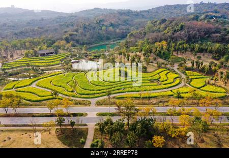 220311 -- CHONGQING, 11 marzo 2022 -- foto aerea scattata il 10 marzo 2022 mostra il paesaggio dell'isola di Guangyang a Chongqing, nella Cina sud-occidentale. L'isola di Guangyang, la più grande isola sulla parte superiore del fiume Yangtze, è ricca di risorse naturali. Negli ultimi anni sono state adottate una serie di misure per ripristinare l'ambiente naturale ecologico dell'isola. Ora, l'isola attrae un gran numero di turisti ogni primavera. CHINA-CHONGQING-GUANGYANG ISLE-SPRING-SCENIC CN WANGXQUANCHAO PUBLICATIONXNOTXINXCHN Foto Stock