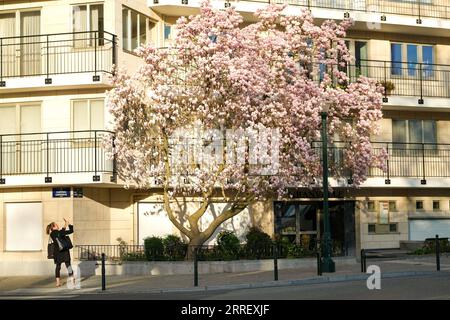 220319 -- BRUXELLES, 19 marzo 2022 -- Una donna scatta foto di fiorenti fiori di magnolia a Bruxelles, Belgio, 14 marzo 2022. BELGIO-BRUXELLES-PRIMAVERA-SCENARIO ZhangxCheng PUBLICATIONxNOTxINxCHN Foto Stock