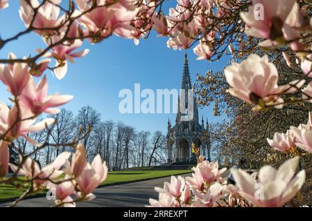 220319 -- BRUXELLES, 19 marzo 2022 -- foto scattata il 18 marzo 2022 mostra i fiori di magnolia in fiore al Laeken Park di Bruxelles, Belgio. BELGIO-BRUXELLES-PRIMAVERA-SCENARIO ZhangxCheng PUBLICATIONxNOTxINxCHN Foto Stock