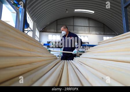 CONTEA DI LUANNAN, provincia di Hebei, Cina - 29 maggio 2020: I lavoratori sono occupati in una fabbrica sulla linea di produzione di maniglie in legno Foto Stock