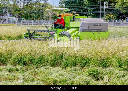 220326 -- NUEVA ECIJA, 26 marzo 2022 -- Un agricoltore lavora al Philippine-sino Center for Agricultural Technology PhilSCAT nella provincia di Nueva Ecija, Filippine il 25 marzo 2022. Le Filippine stanno raccogliendo i frutti della loro collaborazione agricola con la Cina per aumentare l'approvvigionamento alimentare e salvaguardare la sicurezza alimentare nel paese, ha dichiarato venerdì il segretario all'agricoltura William Dar. Dar ha fatto le osservazioni in una cerimonia che ha segnato l'inaugurazione di nuovi laboratori di allevamento presso il Philippine-sino Center for Agricultural Technology PhilSCAT nella città di Munoz nella provincia di Nueva Ecija, a nord di Manila. PH Foto Stock