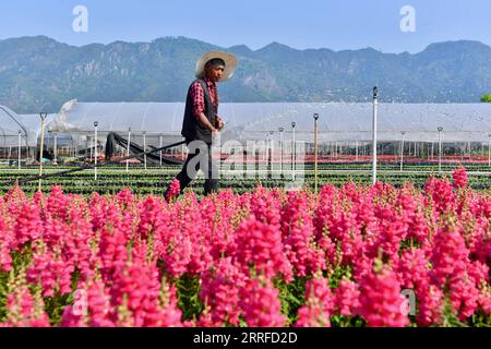 220413 -- FUZHOU, 13 aprile 2022 -- Un agricoltore acque fiori in una base di piantagione di ortaggi e fiori nel comune di Nantong della contea di Minhou, nella provincia del Fujian della Cina sudorientale, 12 aprile 2022. CHINA-FUJIAN-FUZHOU-SPRING PLANTING CN JIANGXKEHONG PUBLICATIONXNOTXINXCHN Foto Stock