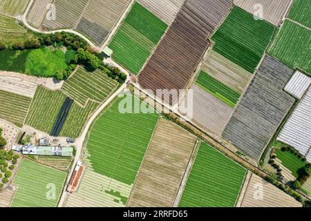 220413 -- FUZHOU, 13 aprile 2022 -- foto aerea scattata il 12 aprile 2022 mostra una base di piantagione di ortaggi e fiori nella municipalità di Nantong nella contea di Minhou, nella provincia del Fujian della Cina sudorientale. CHINA-FUJIAN-FUZHOU-SPRING PLANTING CN JIANGXKEHONG PUBLICATIONXNOTXINXCHN Foto Stock