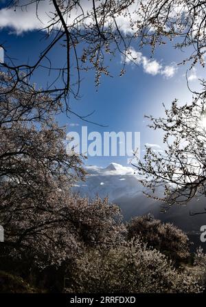 220414 -- LHASA, 14 aprile 2022 -- foto scattata il 13 aprile 2022 mostra il Monte Namjagbarwa a Nyingchi, regione autonoma del Tibet nel sud-ovest della Cina. CHINA-TIBET-MOUNT NAMJAGBARWA CN JigmexDorje PUBLICATIONxNOTxINxCHN Foto Stock