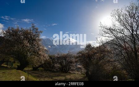 220414 -- LHASA, 14 aprile 2022 -- foto scattata il 13 aprile 2022 mostra il Monte Namjagbarwa a Nyingchi, regione autonoma del Tibet nel sud-ovest della Cina. CHINA-TIBET-MOUNT NAMJAGBARWA CN JigmexDorje PUBLICATIONxNOTxINxCHN Foto Stock