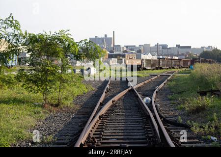 Un paesaggio rurale panoramico con un binario ferroviario abbandonato circondato da una serie di alberi Foto Stock