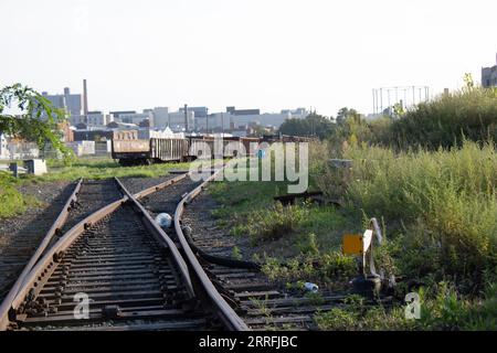 Un paesaggio rurale panoramico con un binario ferroviario abbandonato circondato da una serie di alberi Foto Stock