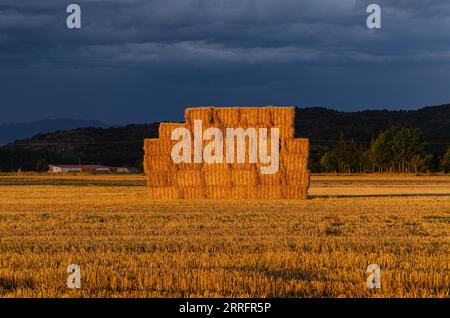 Vista laterale delle balle di fieno paglia in un campo di cereali, giornata tempestosa Foto Stock