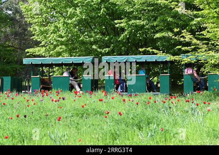 220506 -- BERLINO, 6 maggio 2022 -- la gente prende un trenino a Britzer Garten a Berlino, capitale della Germania, 6 maggio 2022. GERMANIA-BERLINO-SCENARIO RenxPengfei PUBLICATIONxNOTxINxCHN Foto Stock