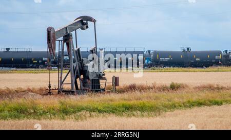 Un martinetto pompa pompa l'olio proveniente da un pozzetto di olio di scisto all'esterno di Williston, una sezione del campo dell'olio di Bakken. Sullo sfondo, un treno merci con carri cisterna pieni di petrolio. Foto Stock