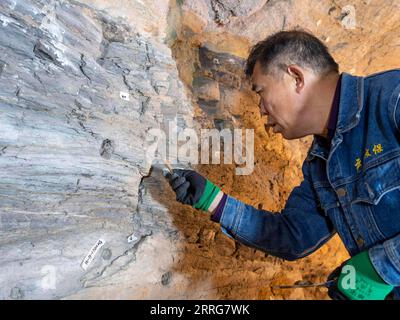 220512 -- DATONG, 12 maggio 2022 -- Un membro dello staff ripristina il muro della grotta 1 delle Grotte di Yungang a Datong, nella provincia dello Shanxi della Cina settentrionale, 11 maggio 2022. Un gruppo di tecnici dello Yungang Research Institute sta cercando di creare versioni digitali della Grotta 17 delle Grotte di Yungang a Datong, nella provincia dello Shanxi nella Cina settentrionale. L'istituto è dedicato alla protezione, alla ricerca e alla gestione delle Grotte di Yungang. Negli ultimi anni, il personale di lavoro dell'istituto è stato impegnato nella raccolta e digitalizzazione delle informazioni delle reliquie delle grotte allo scopo di facilitare l'archiviazione digitale Foto Stock