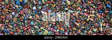 Rocce lungo la riva del lago McDonald nel Glacier National Park, Montana, USA Foto Stock