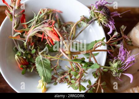 Una ciotola di fiori selvatici foraggiati su un tavolo Foto Stock
