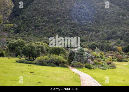 220522 -- CAPE TOWN, 22 maggio 2022 -- foto scattata il 22 maggio 2022 mostra una vista del Kirstenbosch National Botanical Garden a città del Capo, in Sudafrica. PER ANDARE CON l'intervista: Sudafrica ricco di biodiversità, la Cina ha molto da condividere in questo settore: BIODIVERSITÀ conservazionista SUDAFRICA-CITTÀ DEL CAPO-BIODIVERSITÀ LyuxTianran PUBLICATIONxNOTxINxCHN Foto Stock