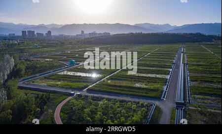 220601 -- SHIZUISHAN, 1 giugno 2022 -- foto aerea scattata il 30 maggio 2022 mostra il progetto di miglioramento della qualità dell'acqua del lago Xinghai nella città di Shizuishan, nella regione autonoma di Ningxia Hui nella Cina nord-occidentale. CHINA-NINGXIA-XINGHAI LAKE-LANDSCAPE CN YANGXZHISEN PUBLICATIONXNOTXINXCHN Foto Stock